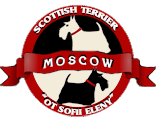 Шотландские Терьеры От СофииЕлены