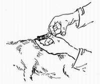 Рис. 44. Подкожная инъекция